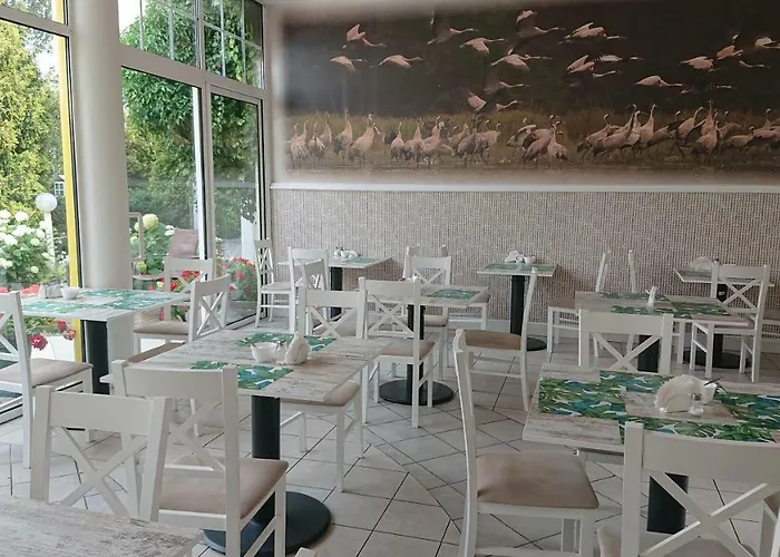 לינה וארוחת בוקר Damroka